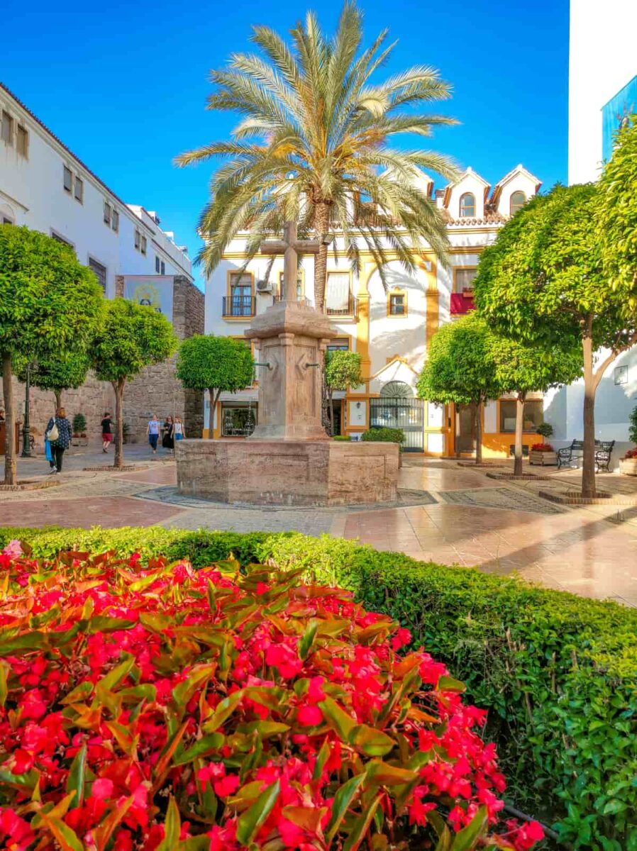 a square with a fountain with a cross and a palm tree; Plaza de la Iglesia in Marbella