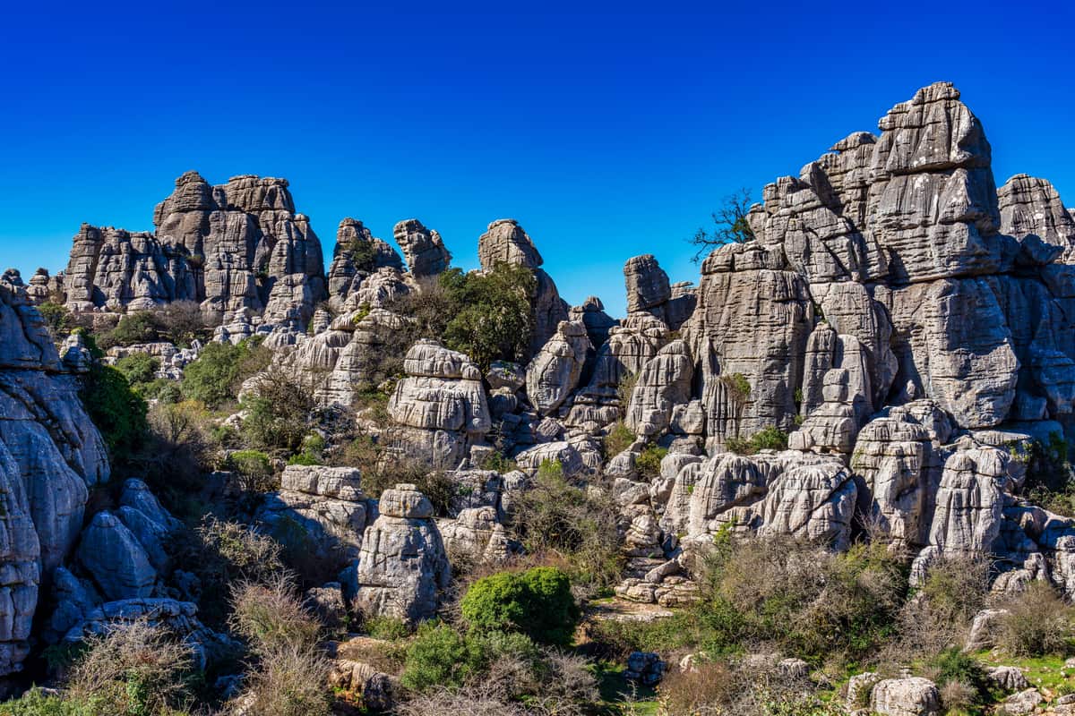 A landscape view of a rocky terrain featuring large, weathered limestone formations under a clear blue sky. Sparse vegetation, including shrubs and small trees, is scattered among the rocks. El Torcal de Antequera, Andalusia