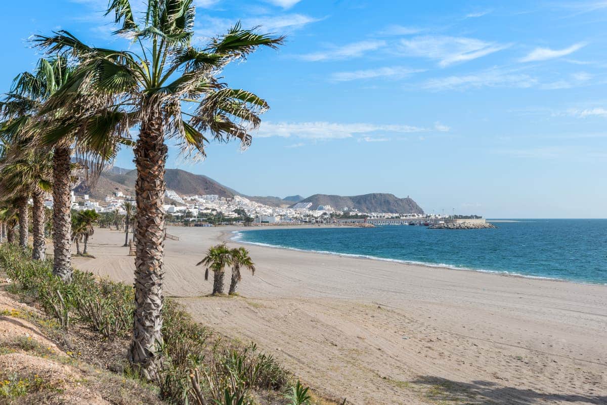 Palm trees line a sandy beach with calm blue water. In the distance, a coastal town sits at the base of rocky hills under a clear, sunny sky. The scene is tranquil and inviting. Carboneras, Almeria