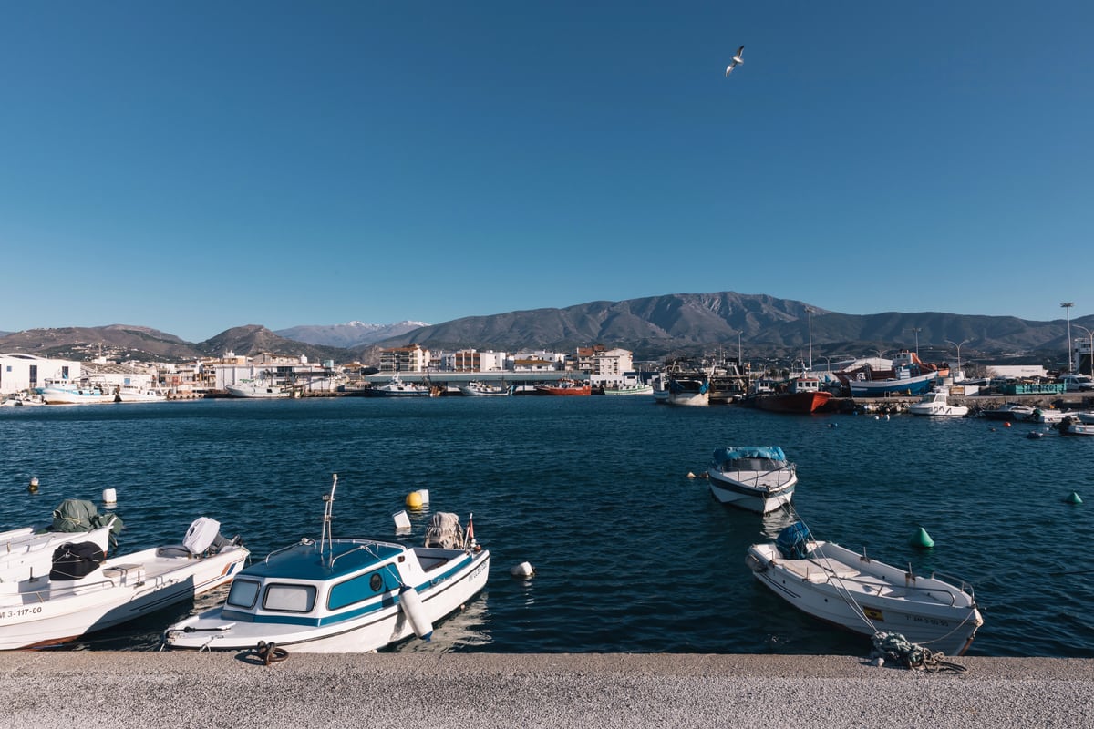 Small boats float on a blue harbour with a coastal town and mountains in the background under a clear sky. A single seagull flies above the water. Motril, Granada