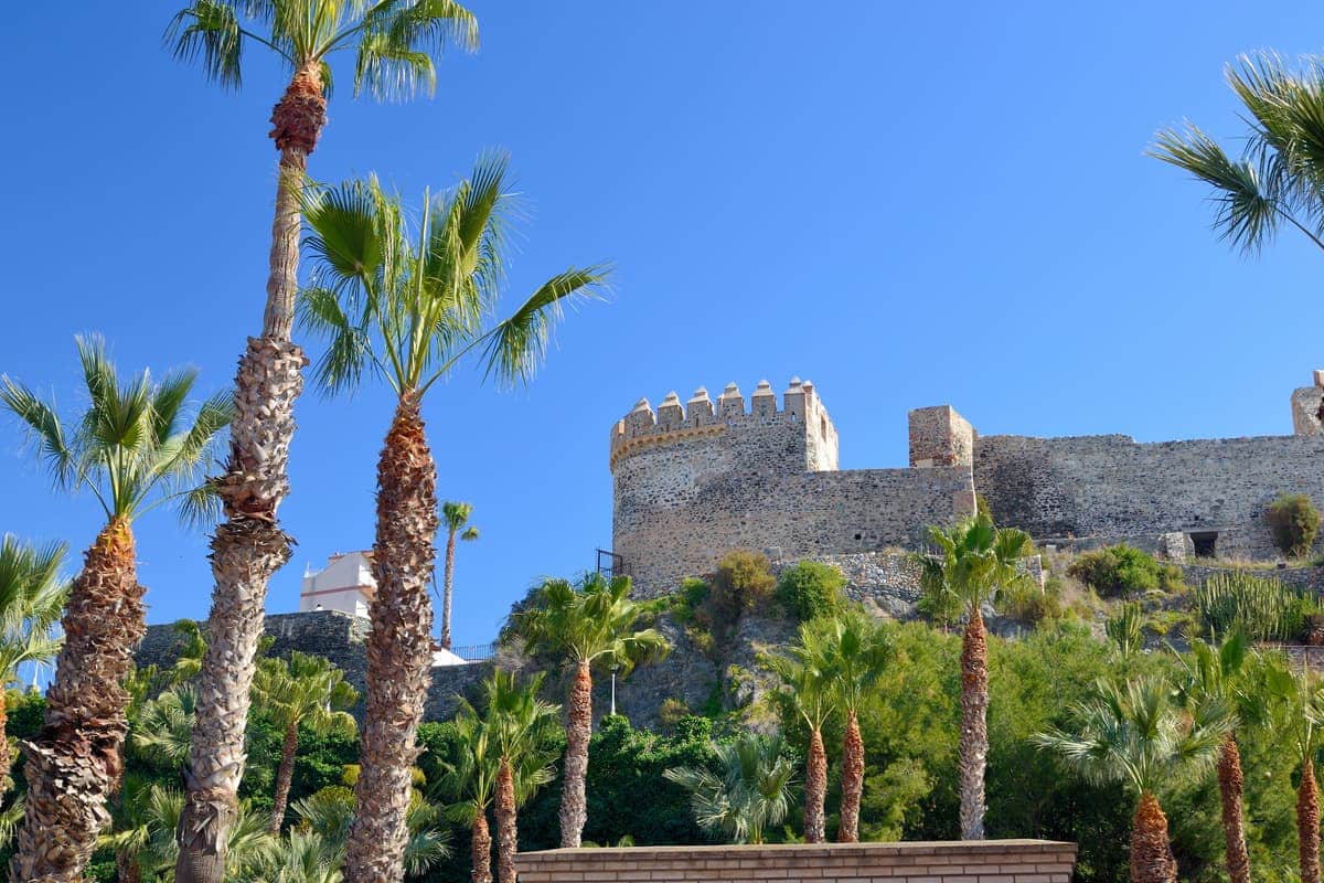 Sunny view of an old stone castle with crenellated walls on a hill, surrounded by tall palm trees and lush greenery against a clear blue sky. San Miguel Castle in Almuñécar